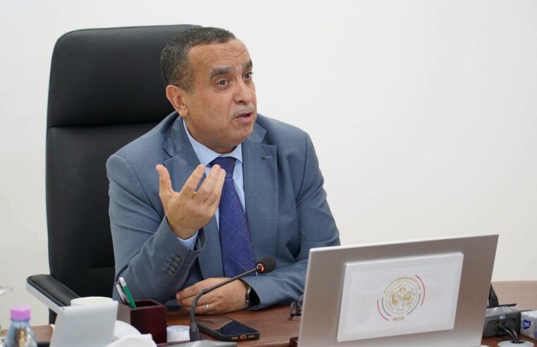 Adjal annonce la future centrale électrique de 40 mw à N&rsquo;Djamena