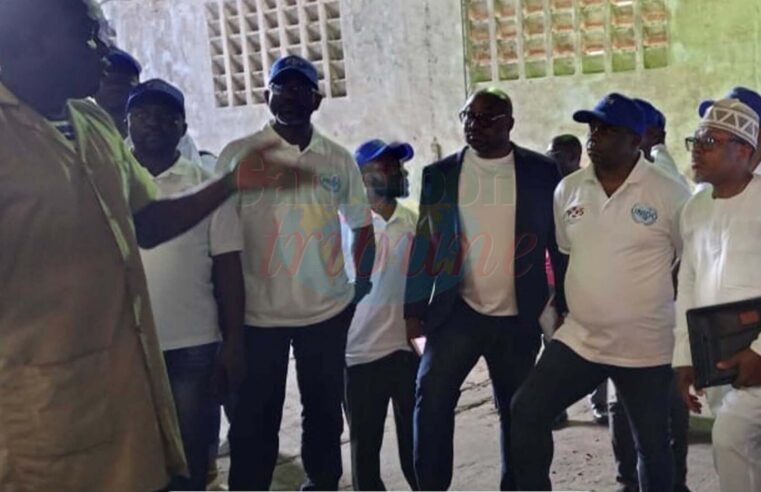 Cameroun : 35 vérificateurs de cacao formés pour des exportations de qualité supérieure
