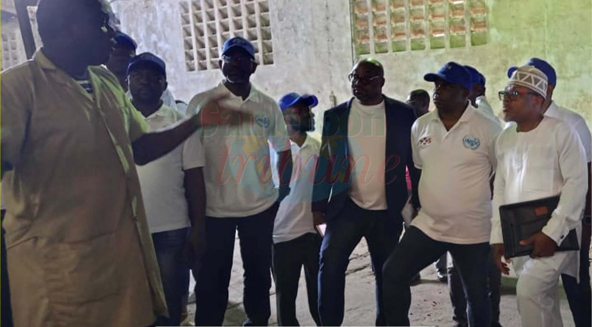 Cameroun : 35 vérificateurs de cacao formés pour des exportations de qualité supérieure