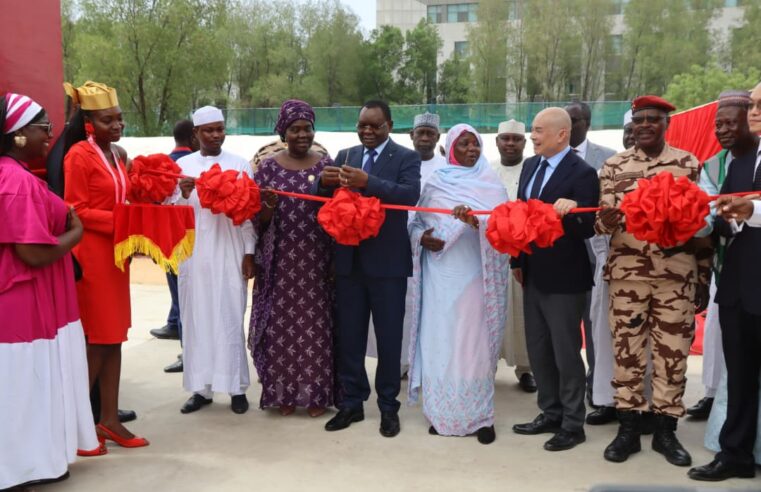 Parc de l’amitié Tchad-Chine : un projet écologique et social ambitieux