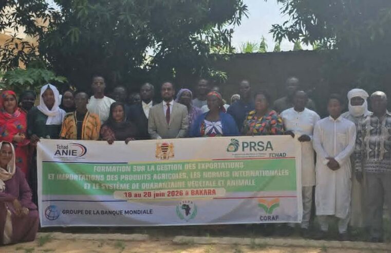 Tchad : une formation pour booster les exportations agricoles