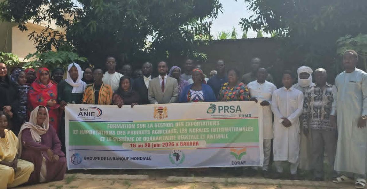 Tchad : une formation pour booster les exportations agricoles