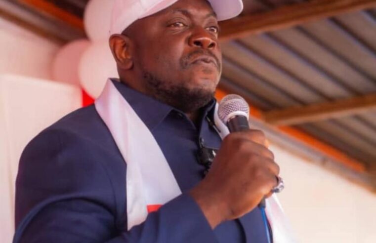 Lubumbashi : l&rsquo;APEC de Louis Watum Kabamba milite pour une constitution sur mesure en RDC