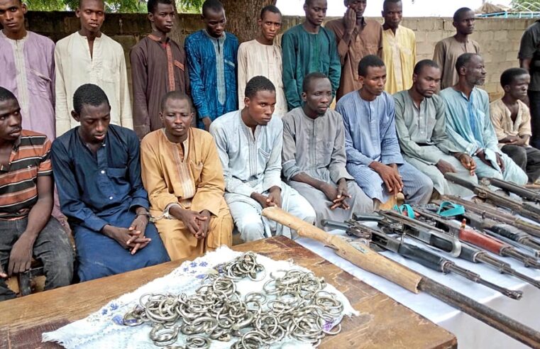 Réinsertion de 10 000 ex-combattants de Boko Haram au Nigeria : un pas vers la paix