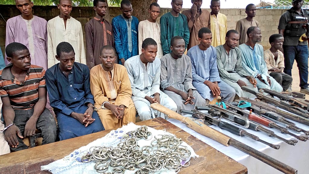 Réinsertion de 10 000 ex-combattants de Boko Haram au Nigeria : un pas vers la paix