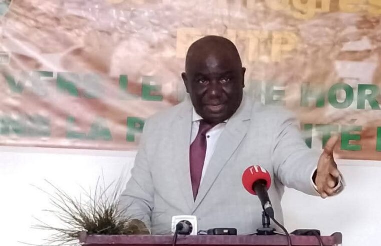 Gabon : l&rsquo;épreuve de la réforme des partis politiques