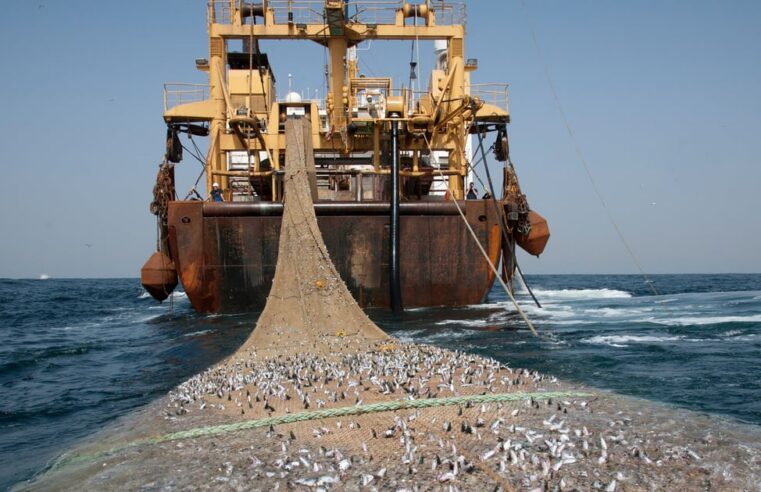 Le Gabon tourne la page de l&rsquo;accord de pêche européen