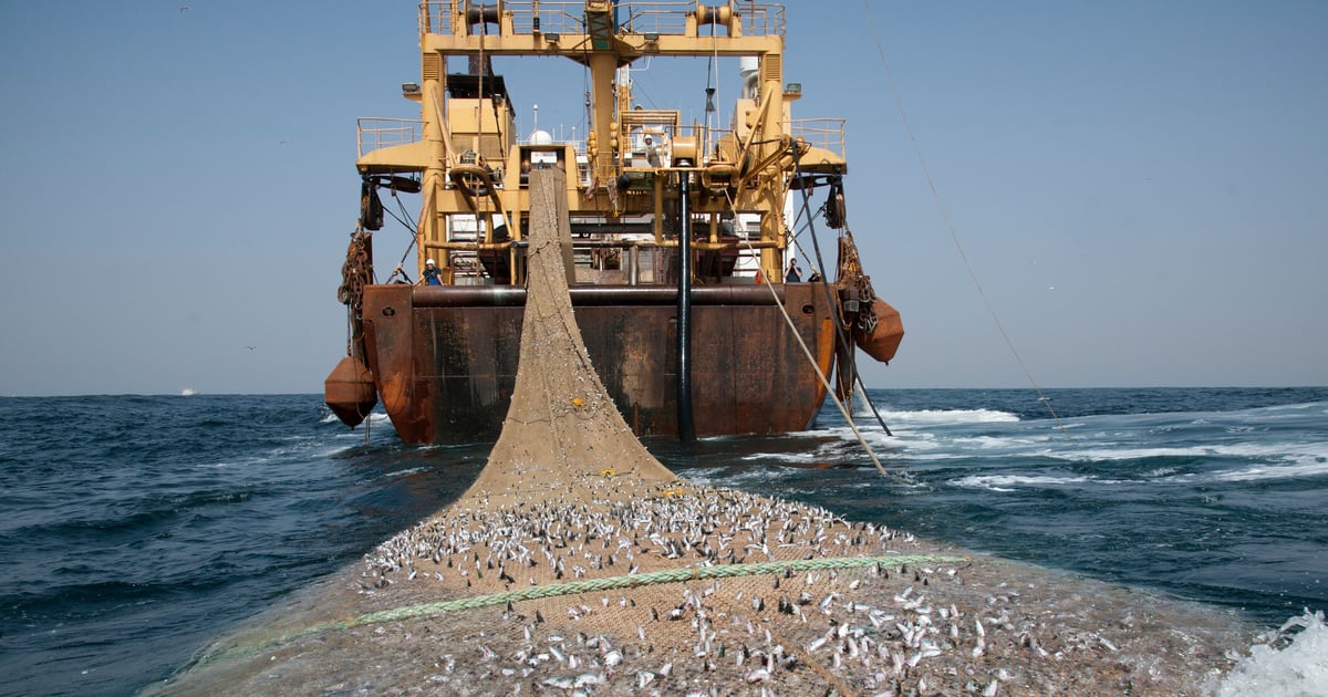 Le Gabon tourne la page de l&rsquo;accord de pêche européen