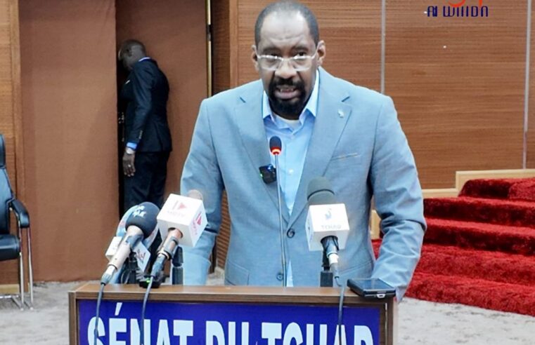 Tchad : le gouvernement face aux défis de l&rsquo;insécurité dans les provinces