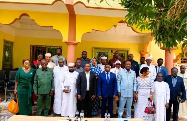 Tchad : la feuille de route du CPDP pour un climat politique apaisé