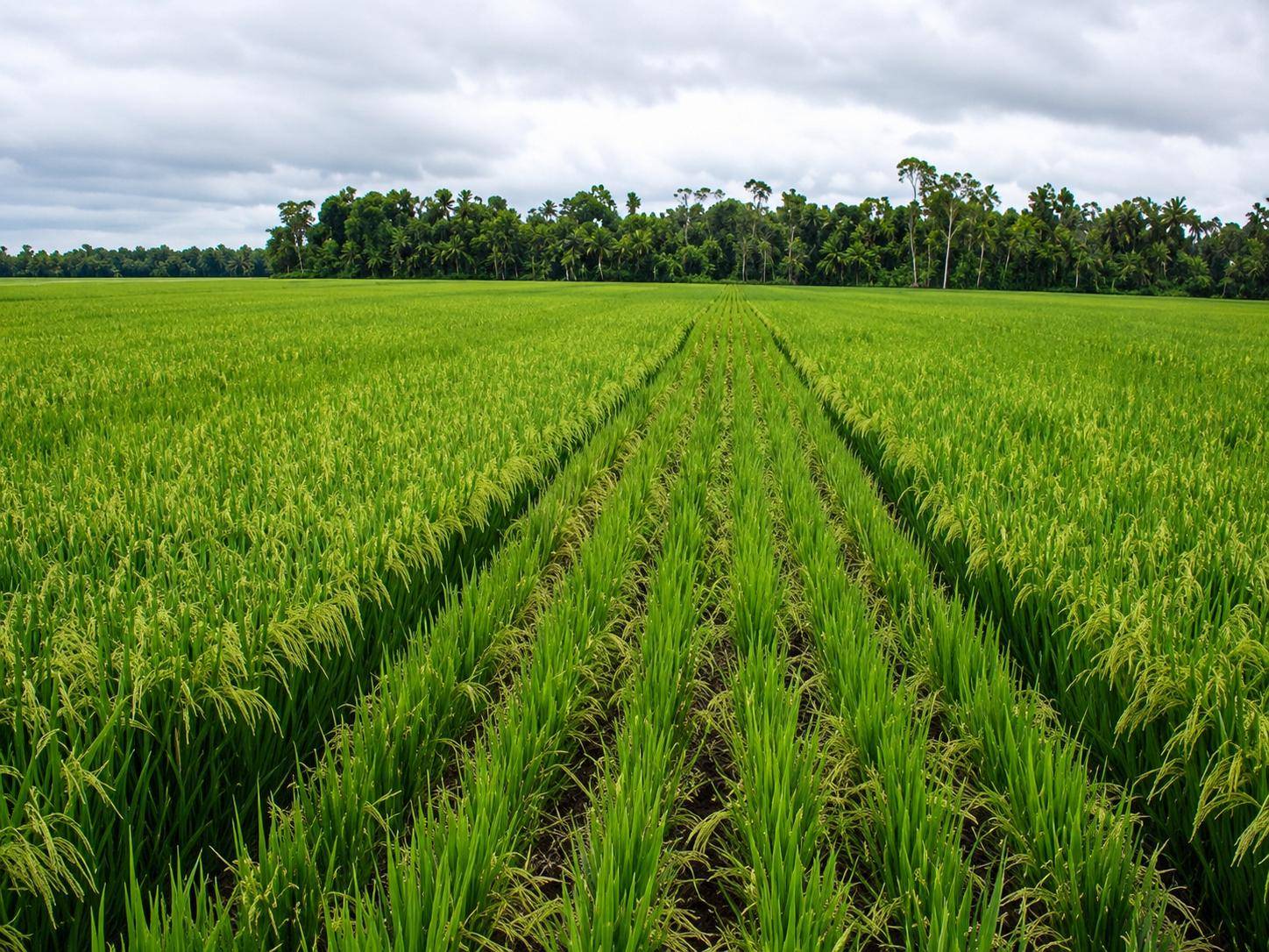 Bénin : accélération de la transformation agricole vers la souveraineté alimentaire