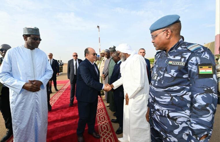 Inauguration de la centrale électrique Solidarité à Niamey par le Premier ministre