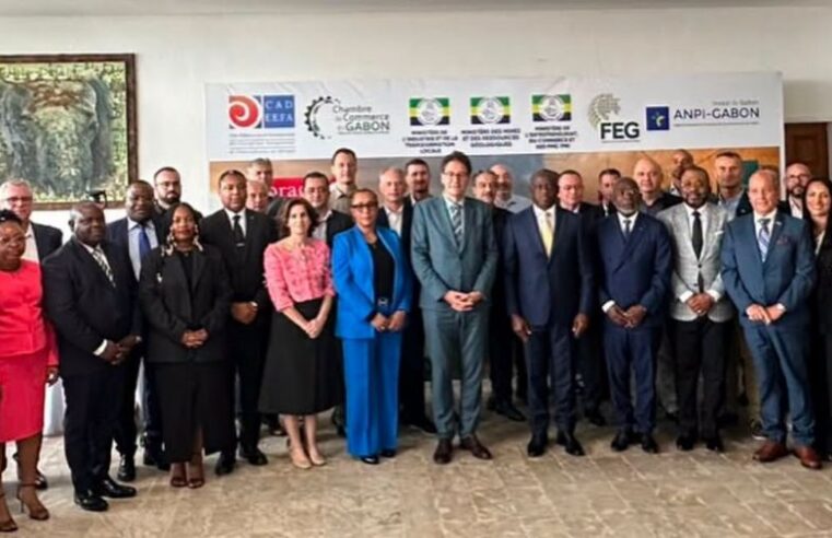 Gabon : l&rsquo;ambition d&rsquo;une transformation industrielle