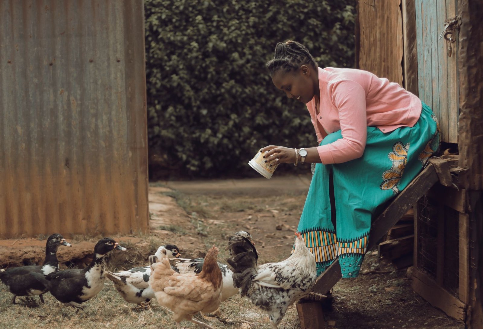 Le conglomérat SONOCO veut produire 15 millions de poulets par an au Gabon