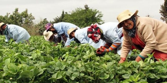 La croissance marocaine atteint 4,9% en 2025 sous l&rsquo;impulsion de la demande intérieure