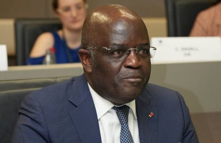 Le Gabon mise sur la transformation locale pour sortir du modèle extractif