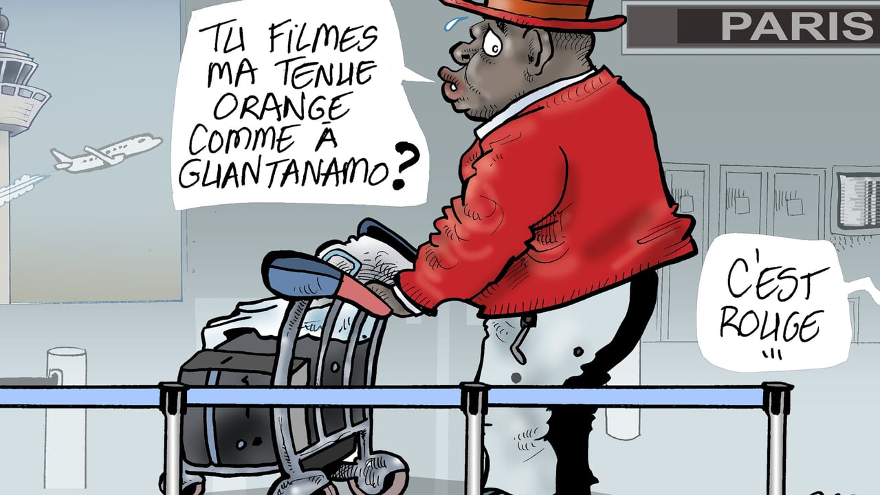 Longuè Longuè : un retour mouvementé à Yaoundé