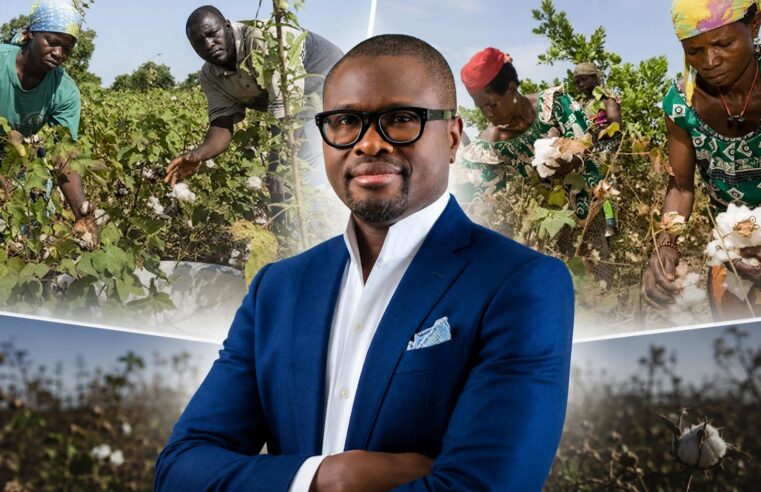Le Bénin conditionne une prime cotonnière à l&rsquo;atteinte de 700 000 tonnes