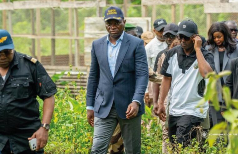 Gabon : 25 milliards de FCFA pour l&rsquo;autonomie alimentaire d&rsquo;ici 2030