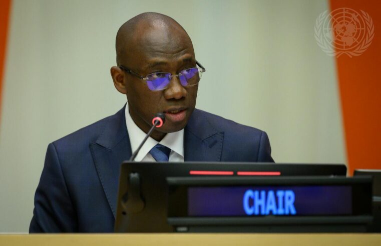 Coly seck président de la quatrième commission de l&rsquo;ONU : le Sénégal à l&rsquo;honneur
