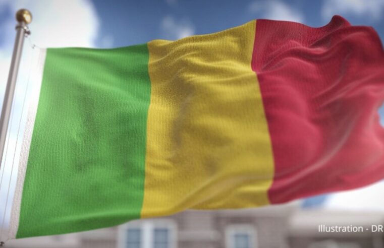 Condamnation d&rsquo;un agent français à 20 ans de prison au Mali