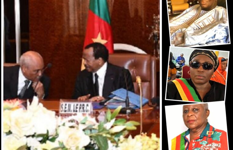 Composition du conseil supérieur de la magistrature : les nouveaux visages nommés par Paul Biya
