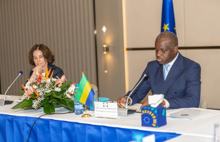 Gabon-UE : un dialogue stratégique pour un partenariat renouvelé