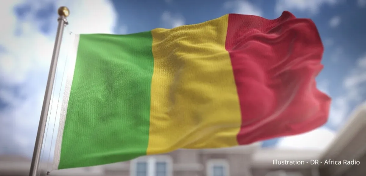 Condamnation d'un agent français à 20 ans de prison au Mali pour atteinte à la sûreté de l'État