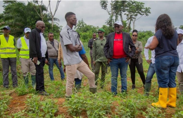 Gabon : l&rsquo;innovation scientifique au service de l&rsquo;indépendance alimentaire