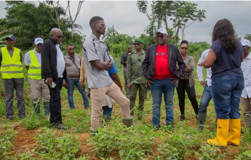 Gabon : l&rsquo;innovation scientifique au service de l&rsquo;indépendance alimentaire