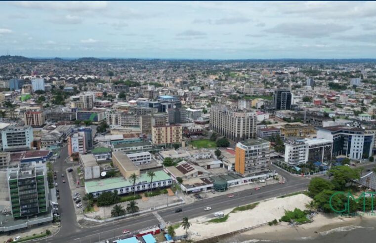 IDE :  plus de 216 milliards de FCFA d’investissements étrangers captés par le Gabon en 2025