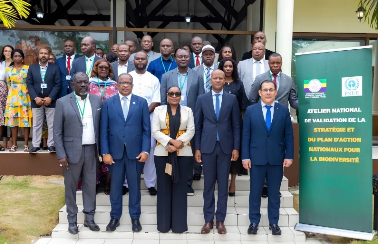 Gabon : une stratégie nationale pour préserver 30% de ses écosystèmes d&rsquo;ici 2030