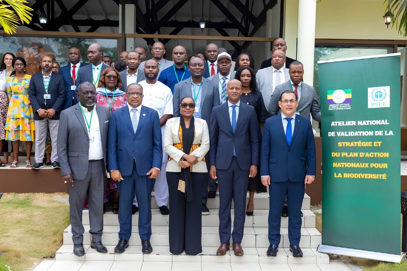 Gabon : une stratégie nationale pour préserver 30% de ses écosystèmes d&rsquo;ici 2030