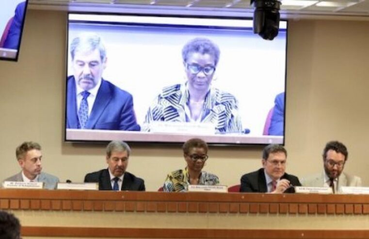 Gabon : plaidoyer pour une refonte des financements climatiques à New York