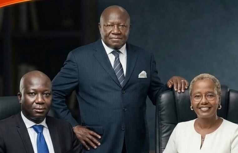 En Côte d’Ivoire, le pari d’une économie souveraine par les champions nationaux