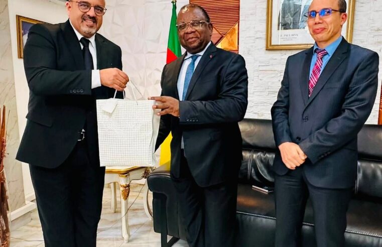 Coopération Cameroun Algérie : nouveaux horizons économiques