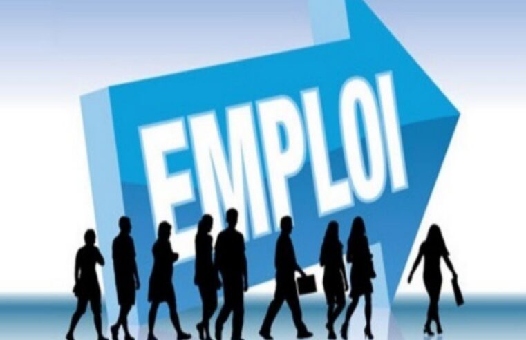 Emploi au Togo : Les 3 compétences les plus recherchées par les recruteurs en 2026