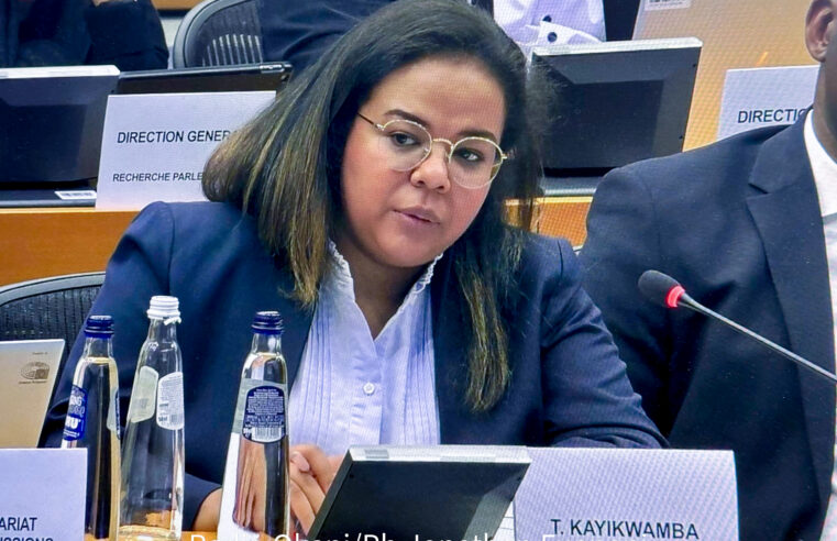 La rdc pousse pour une gouvernance responsable des ressources naturelles à l’ONU