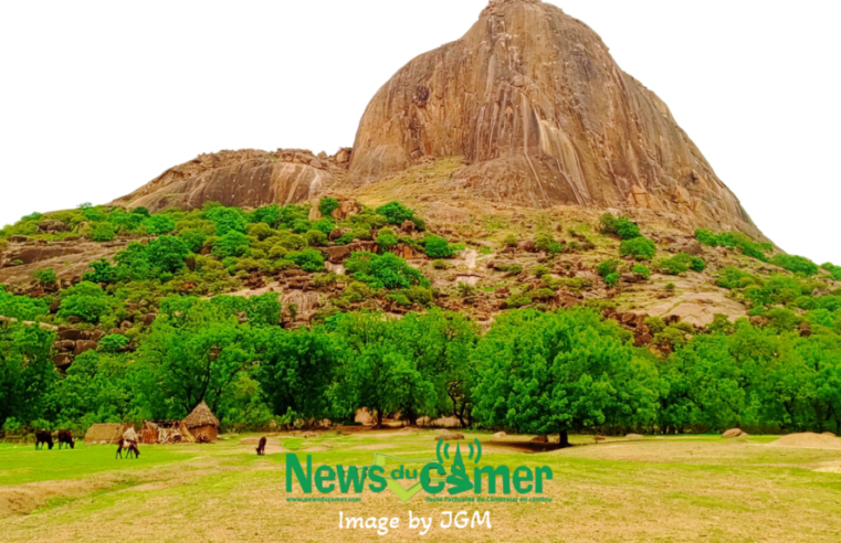 Tourisme au Cameroun : décennie de déclin et pertes abyssales