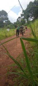 Tragédie en Centrafrique : des commerçants tués près d&rsquo;Obo