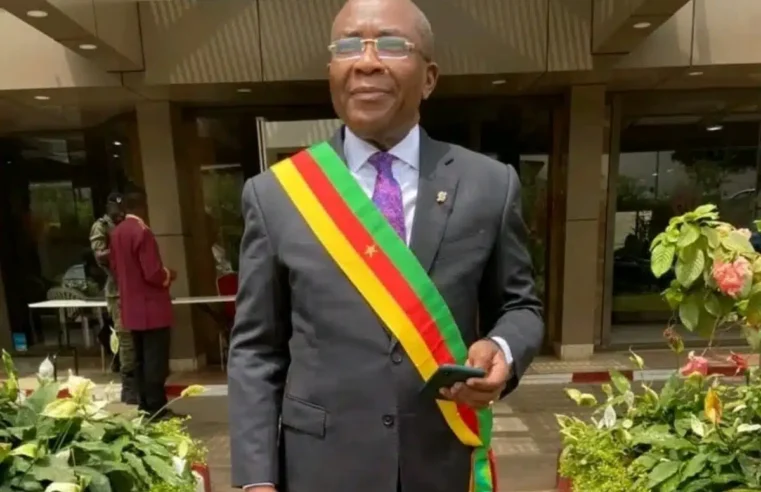 Nintcheu exige une vacance constitutionnelle au Cameroun