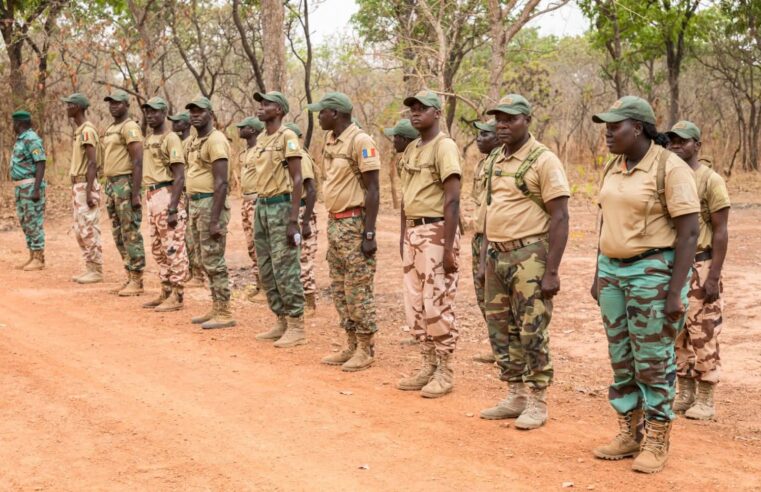 Tchad : les agents des eaux et forêts ne peuvent plus porter d&rsquo;attributs militaires