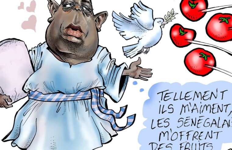 Crise politique au Sénégal : macky sall et bassirou diomaye faye sous pression populaire
