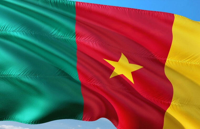 Le Cameroun à l&rsquo;écart de la révolution du visa libre en Afrique : les vraies raisons