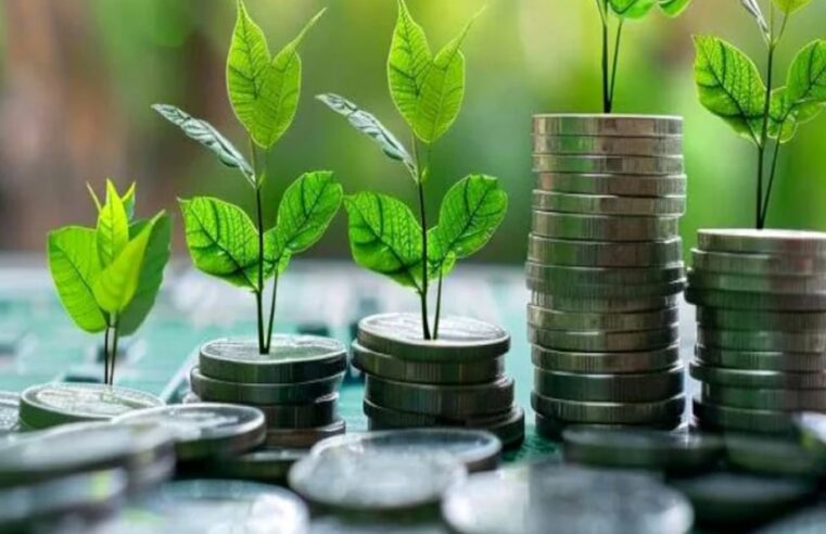 Maroc : vers une finance verte avec une taxonomie climatique ambitieuse