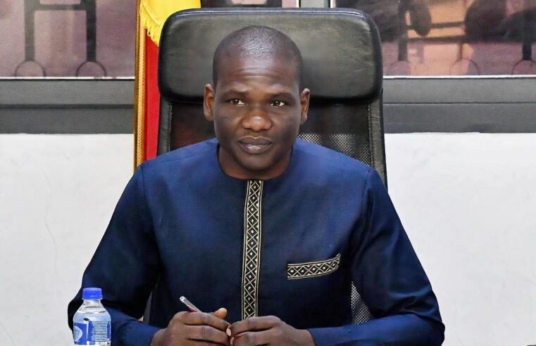Tchad : suspension de quatre marques de yaourt pour non-respect des normes sanitaires