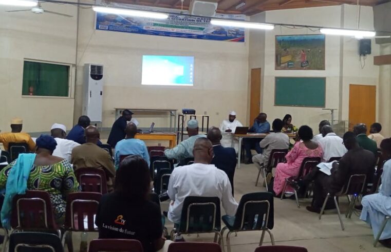 Transformation numérique de l’enseignement au Tchad : validation d’un diagnostic décisif