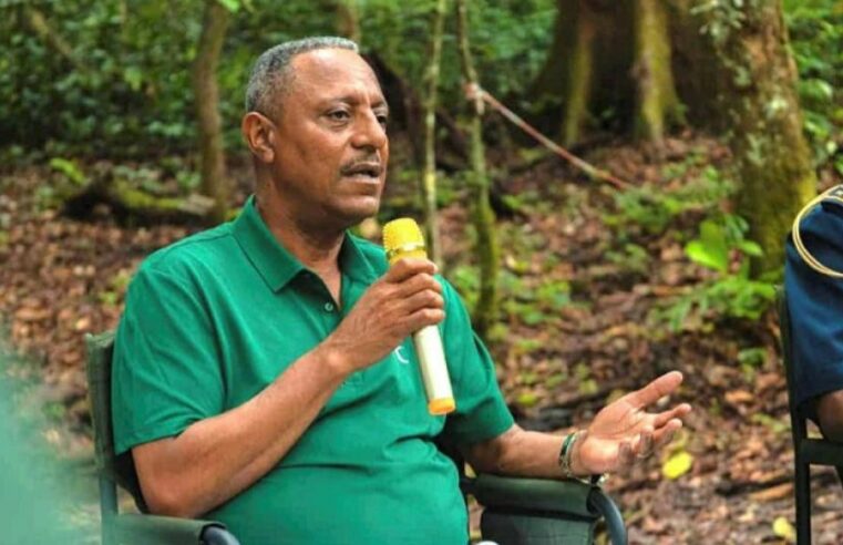 Gabon : Pascal Ogowe Siffon en liberté provisoire après sept mois de détention