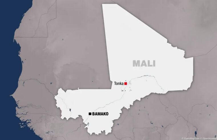 Assassinat ciblé d&rsquo;un boucher à Tonka par des groupes armés au Mali