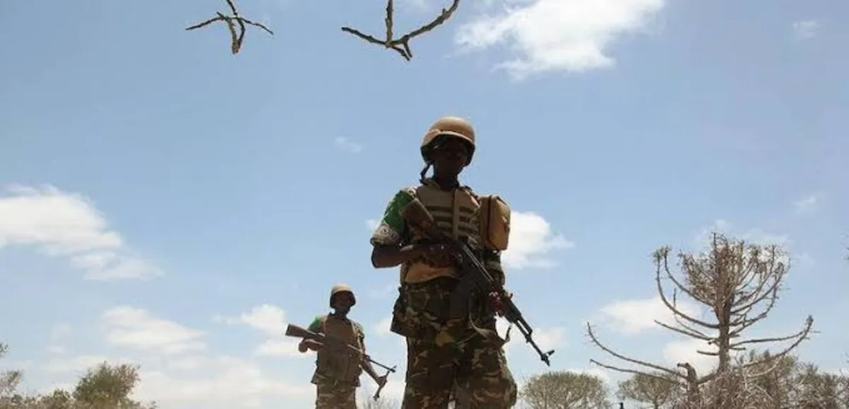 Mali : huit civils tués lors de frappes attribuées à l'Africa Corps